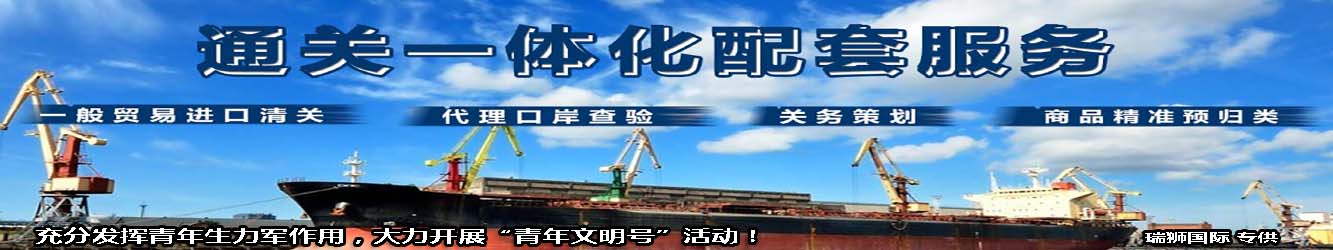 進口清關代理 一般貿易進口報關  國際物流貨運代理