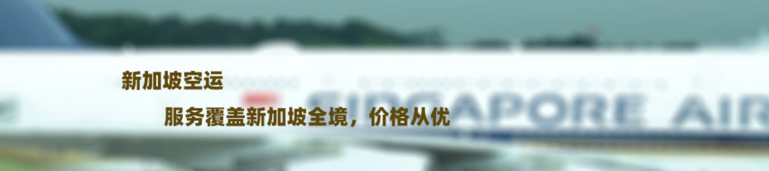 新加坡海運專線 新加坡空運價格 新加坡快遞查詢 新加坡?？砧F多式聯(lián)運國際貨運代理