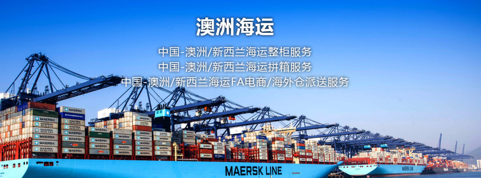 SINOTRANS 中外運(yùn)  Sinotrans container lines co.,ltd. 中外運(yùn)集裝箱運(yùn)輸有限公司