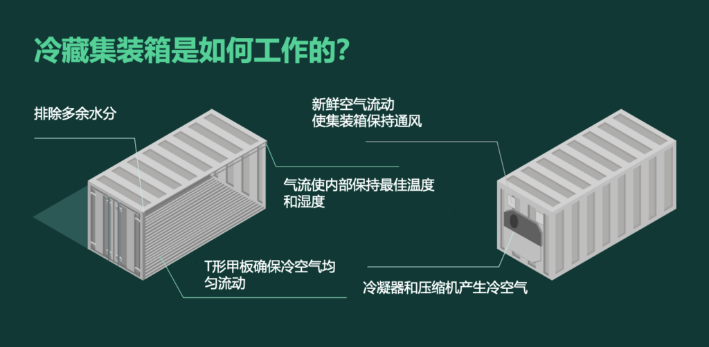 集裝箱冷柜如何運(yùn)作？冷藏集裝箱工作原理 冷凍柜制冷原理